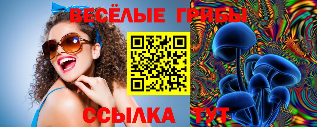 Галлюциногенные грибы MAGIC MUSHROOMS  Вход с VPN  Красный Сулин 