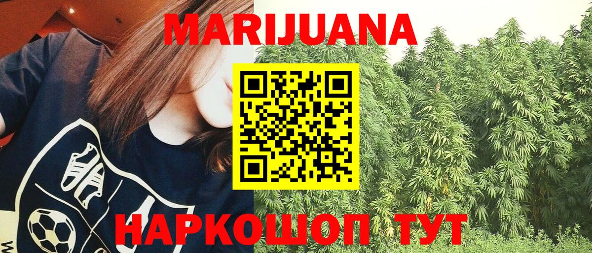 Бошки марихуана OG Kush Красный Сулин
